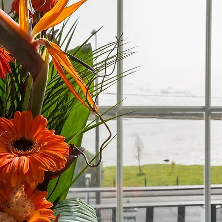 The Light House Pensión Galway