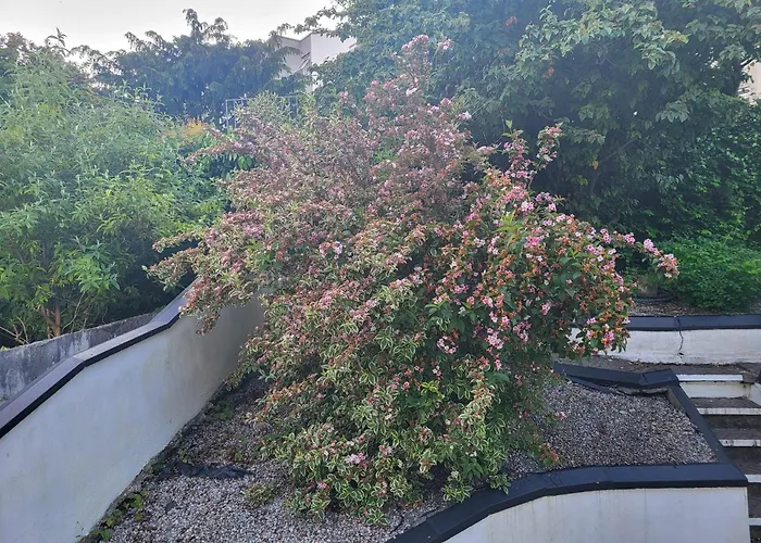 The Light House Голуэй