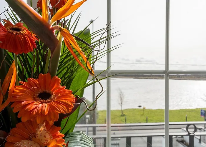 The Light House Gasthuis Galway